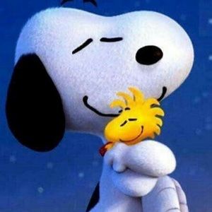 Meet your Posher, Sylvia